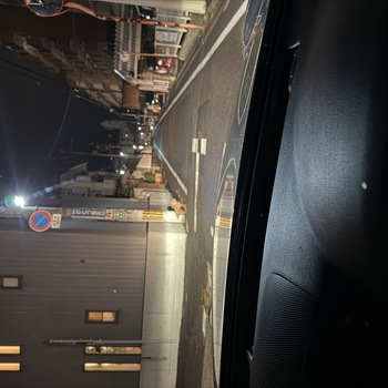 迷子になった犬の写真　２枚目