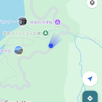 迷子になった犬の写真　3枚目