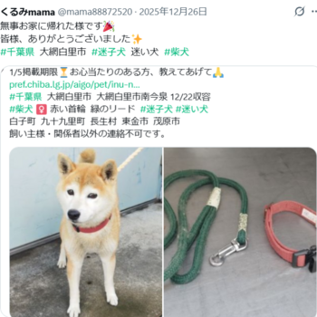 迷子投稿へのコメントの写真