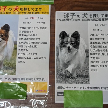 迷子犬投稿へのコメント返信の添付画像
