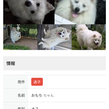 相談の参考画像 1枚目