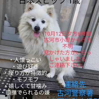 相談の参考画像 2枚目