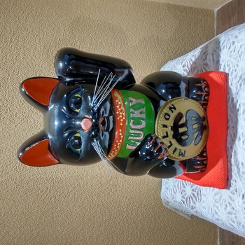 迷子犬の投稿者のプロフィール写真