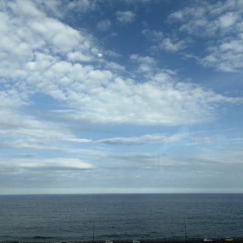 迷子犬の投稿者のプロフィール写真